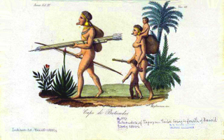 Illustration for article titled Did Pacific Islanders reach South America before Columbus?